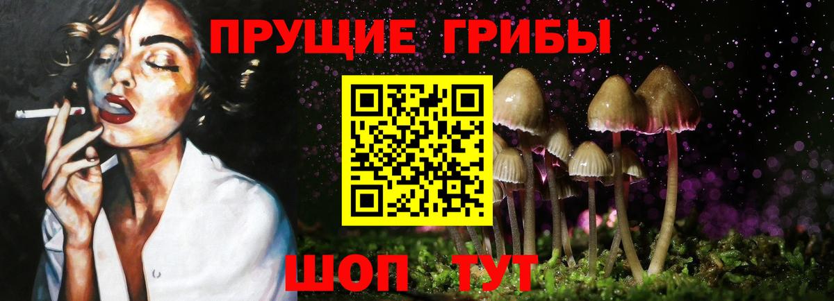 Псилоцибиновые грибы MAGIC MUSHROOMS Родники